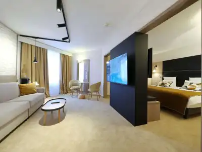 Mercure Grenoble Centre Porte des Alpes - 30
