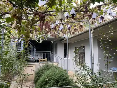 Guest House Vip - 14