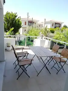 Lupa Alacati - 87