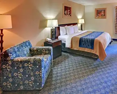 Quality Inn & Suites Irving DFW Airport South - 44