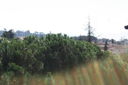 Belvedere - 26