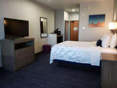 Best Western Plus San Antonio East Inn & Suites - 1