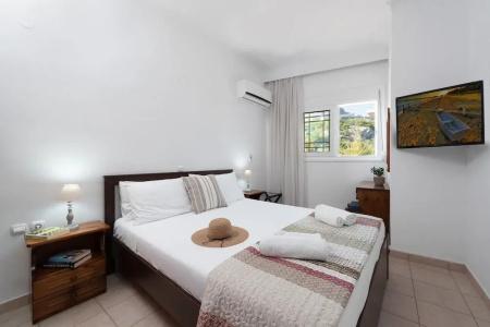 Stegna Dream - 43