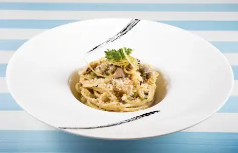 Delfino - 13