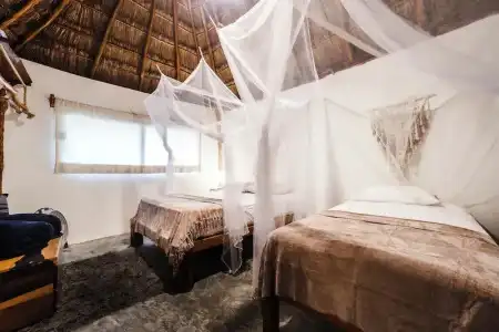 Eco.Bañitas - 30