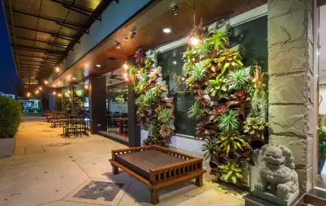 Green House - 19