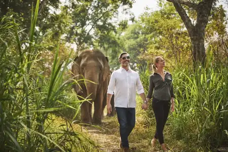 Anantara Golden Triangle Elephant Camp & Resort - 20