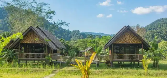 Our Jungle Camp - Eco Resort - 70