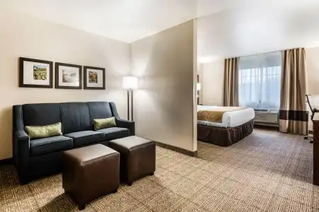 Comfort Suites at Par 4 Resort - 61