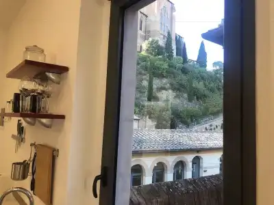 Siena Vip - 50