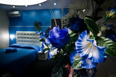 Londrino Sanremo - 41