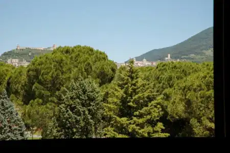 Mom Assisi - 7