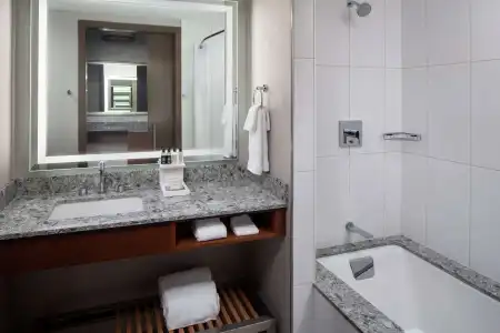 DoubleTree by Hilton Rochester Mayo Clinic Area - 8