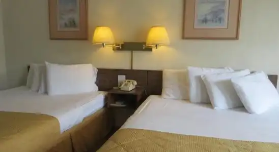 Sleepy Bear Motel - 3