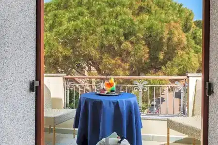 Il Nuovo Gabbiano - 31