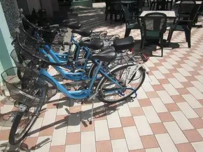 Savoia - 7