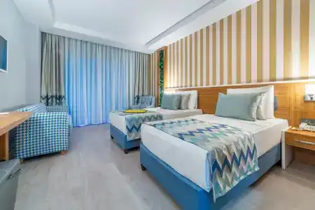 Lonicera Premium - 4
