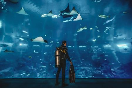 Resorts World Sentosa - Equarius Villas - 23