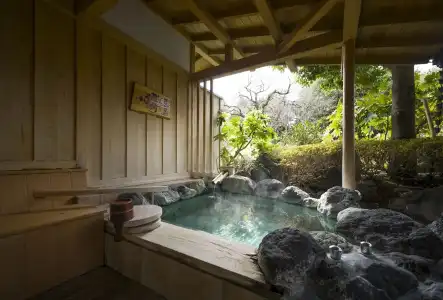 Fujisan Onsen Kaneyamaen - 26