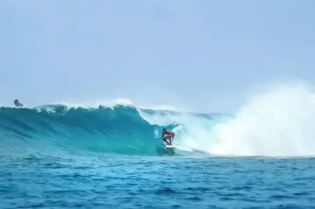 The Maverick Surf and Dive Boutique - 23