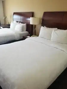 Clarion Inn & Suites Central Clearwater Beach - 5