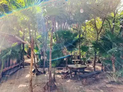 Eco.Bañitas - 17