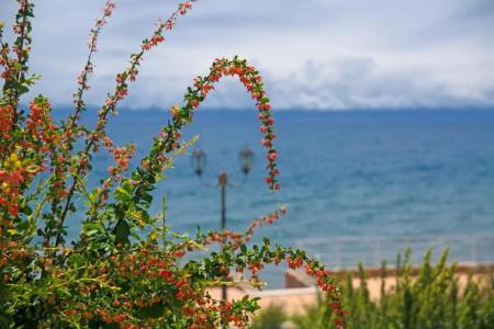 Azure Sport Resort - 49