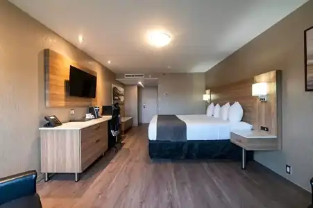 Hôtel & Suites le Dauphin Québec - 42