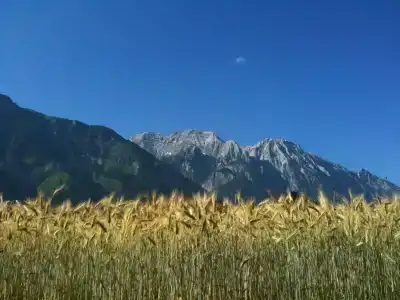 Austria Classic Heiligkreuz - - 18