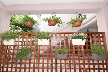 Guest House Zec - 26