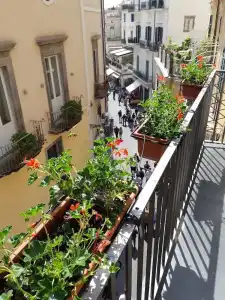 Antica Repubblica - 74