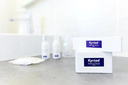Kyriad Prestige Vannes Centre – Palais Des Arts - 71
