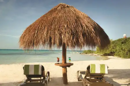 Hyatt Ziva Cancun All Inclusive - 36