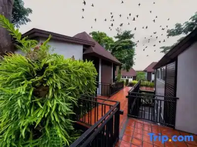 The Cliff Elegance Resort - 53