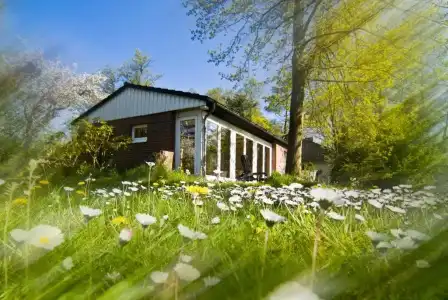Wassermuehle Heiligenthal - 52