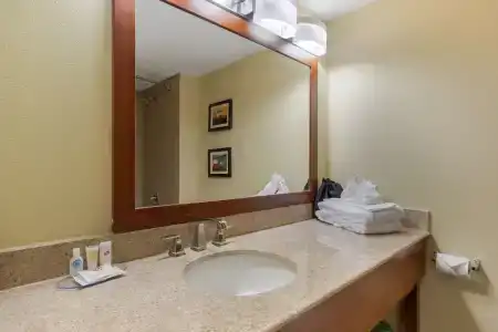 Comfort Inn & Suites SW Houston Sugarland - 9