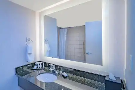 Hyatt Regency Niagara Falls Fallsview - 57