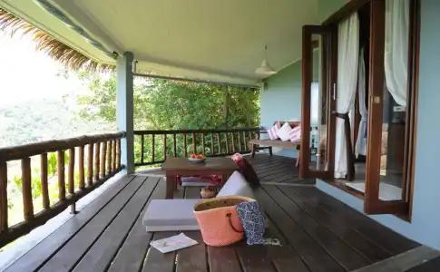 The Jungle Club - 5