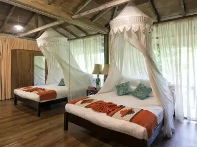Fig Tree Hill Resort - 33