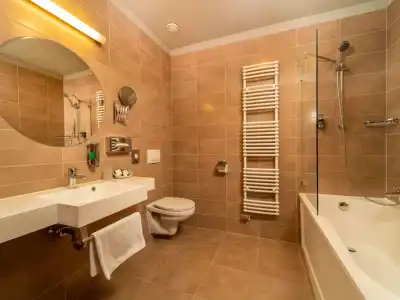 Mercure Szekesfehervar Magyar Kiraly - 6