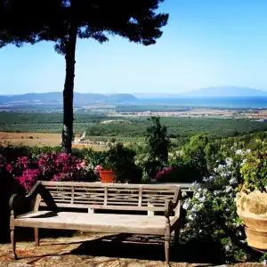 Poggio Ai Santi - 12