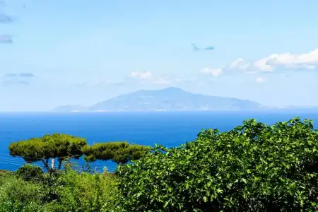 Bussola di Hermes - 25