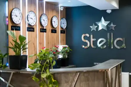 Stella - 8