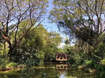 Ekman Garden Resort Nakhon Si Thammarat - 22