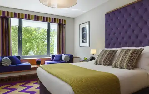 The Fitzwilliam - 50