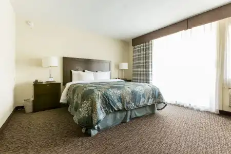 Royal Palace Westwood - 18