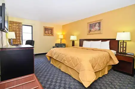 Quality Inn & Suites Irving DFW Airport South - 30