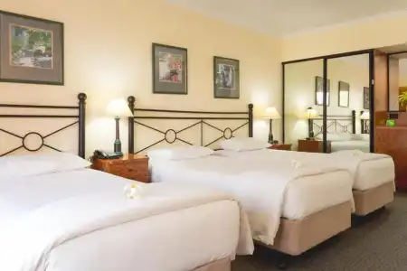 Palm Royale Cairns - 43