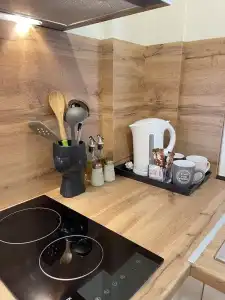 Arial Penthouse Suites - 304