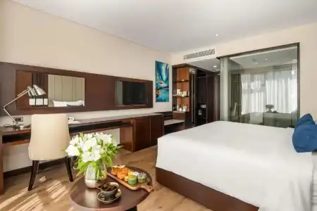 Minh Toan SAFI Ocean - 56